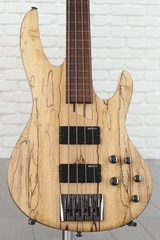 ESP LTD B-204SM Fretless Bass Guitar - Natural Satin