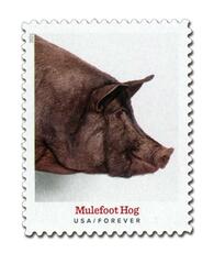 US #5583