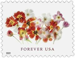 Tulips 2022 Forever First Class Postage Stamps, Flowers, Garden, Love, Postal.