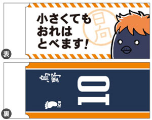 Haikyuu!! - Eraser: Shoyo Hinata
