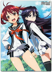 Vividred Operation - Pencil Board D