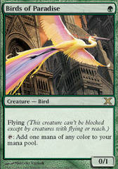 Birds of Paradise - Foil