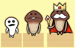 Touch Detective Mushroom Garden - Keyboard Memo Paper A Set