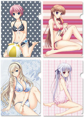 Walkure Romanze Clear File Set