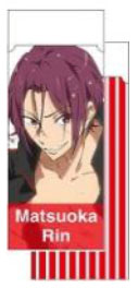 Free! Eternal Summer - Eraser: Rin Matsuoka