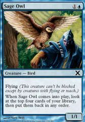 Sage Owl - Foil