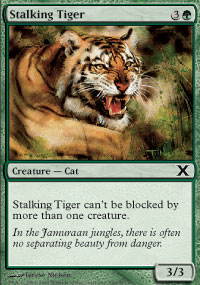 Stalking Tiger - Foil