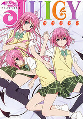 To Love-Ru Darkness Anime Illustration Collection Juicy (BOOK)
