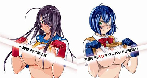 Ikkitousen [Kyouki Ranbu] BOX First Press Limited