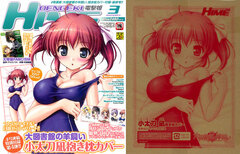 Dengeki Hime 2013 March Issue w/Daitoshokan no Hitsujikai 