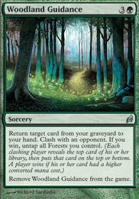 Woodland Guidance - Foil