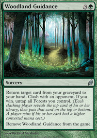 Woodland Guidance - Foil