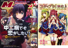 Megami Magazine 2013 Jan. Issue (MAGAZINE)