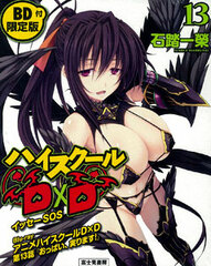High School D x D Vol.13 [Limited Edition] w/BD (BOOK, Novel)
