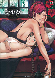 Seishoujo Art Works STARLESS (BOOK)