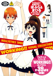 WORKING!! Visual Collection (Art Book)