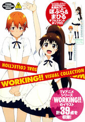 WORKING!! Visual Collection (Art Book)
