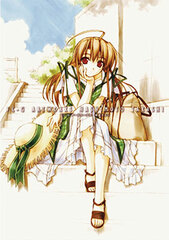 FC-G Art Works Hashimoto Takashi Illustration Volume (Book)
