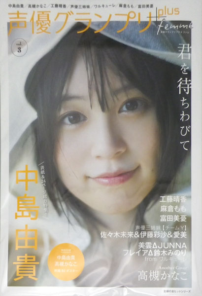 Seiyuu Grand Prix plus femme vol.3 (BOOK)
