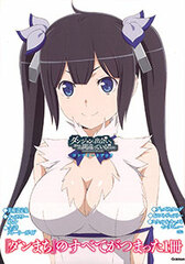 Is It Wrong to Try to Pick Up Girls in a Dungeon? Complete Book (BOOK)