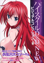 High School D x D NEW Visual Collection Part.1 (BOOK)