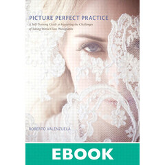 New Riders Picture Perfect Practice: A Self-Training Guide to Mastering the Challenges of Taking World-Class Photographs (Electronic Download)