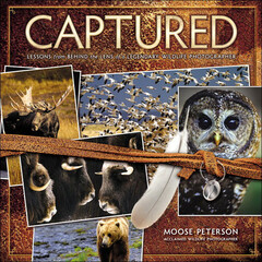 New Riders E-Book: Captured: Lessons from Behind the Lens of a Legendary Wildlife Photographer (First Edition)