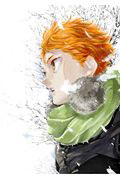 Haikyuu!! Complete Illustration book Owari to Hajimari (BOOK)
