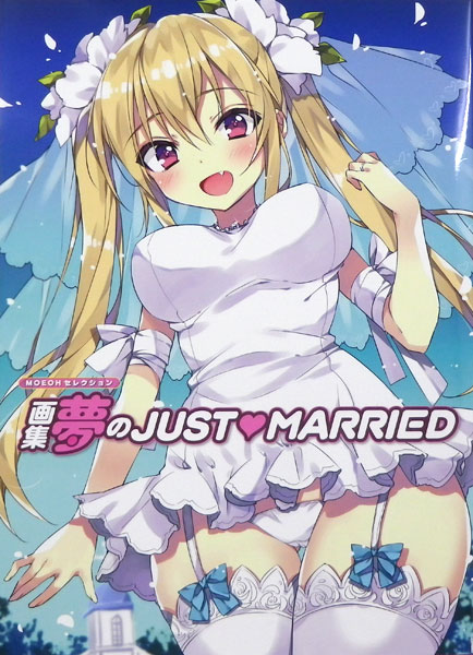 MOEOH Selection Art Collection Yume no JUST MARRIED (BOOK)