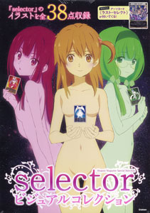 selector Visual Collection (BOOK)
