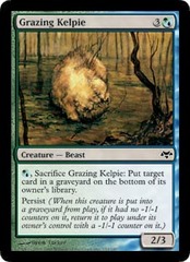 Grazing Kelpie - Foil