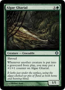 Algae Gharial - Foil