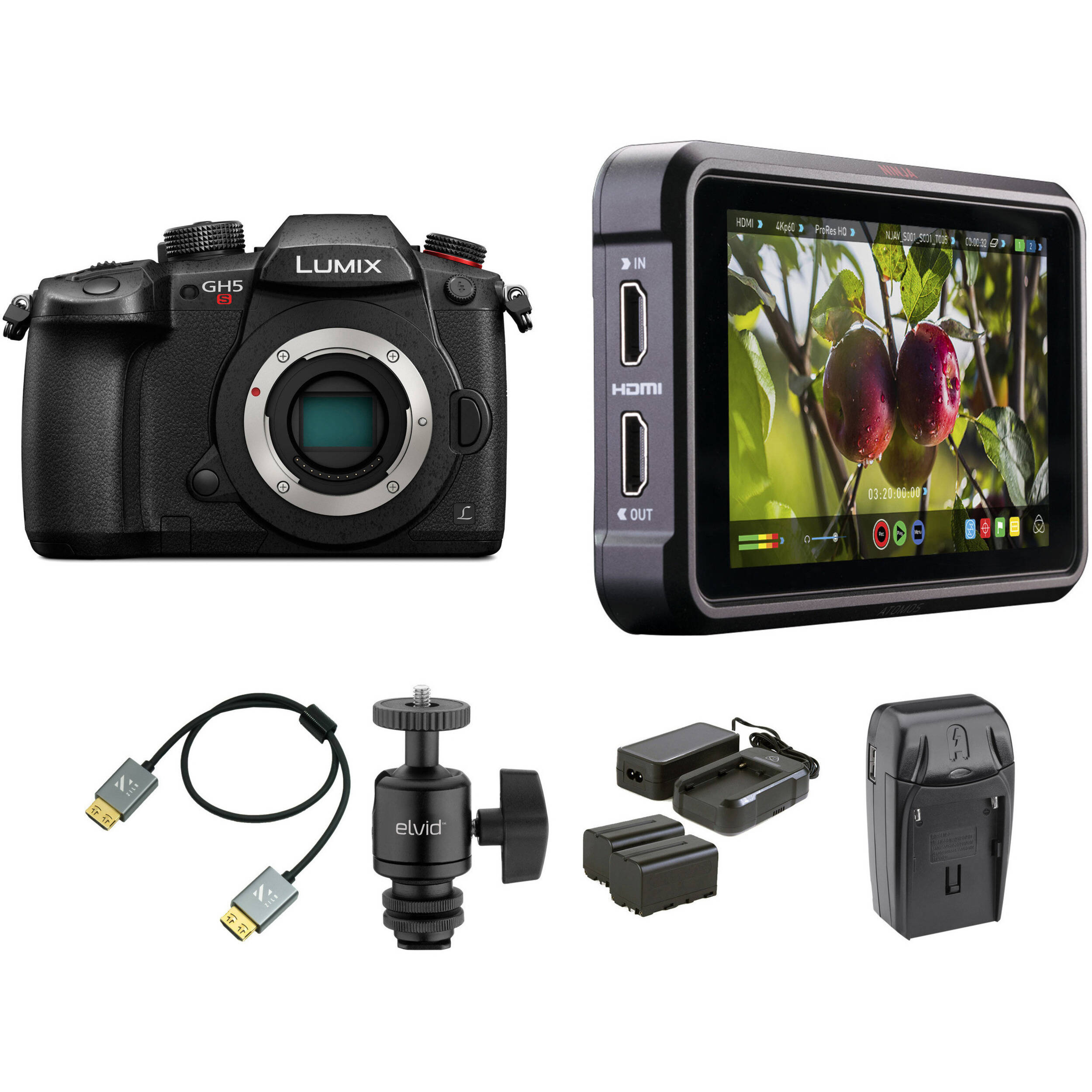 Panasonic Lumix GH5S Mirrorless Camera Cine Kit