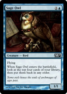 Sage Owl - Foil