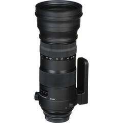 Sigma 150-600mm f/5-6.3 DG OS HSM Sports Lens and TC-1401 1.4x Teleconverter Kit for Sigma SA