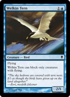 Welkin Tern - Foil