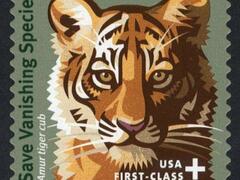 Save Vanishing Species Issue