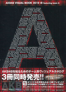 AKB48 Visual Book 2010 Featuring Team A (Book)