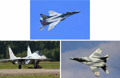 MiG-29 Fulcrum Profile Photo Collection (BOOK)