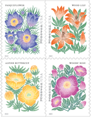 Butterfly Garden Flowers