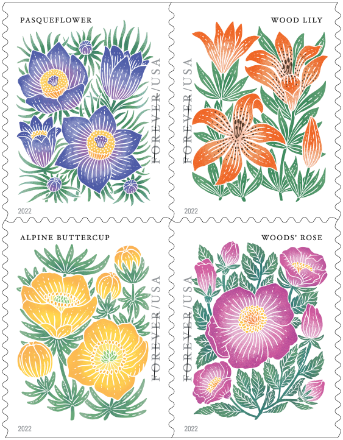 Butterfly Garden Flowers
