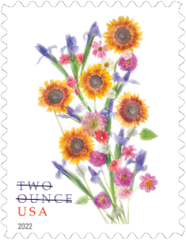 Butterfly Garden Flowers
