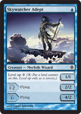 Skywatcher Adept - Foil