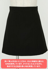 Code Geass: Lelouch of the Rebellion Ashford Academy Girl Uniform Skirt/XXL