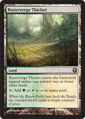 Razorverge Thicket - Foil