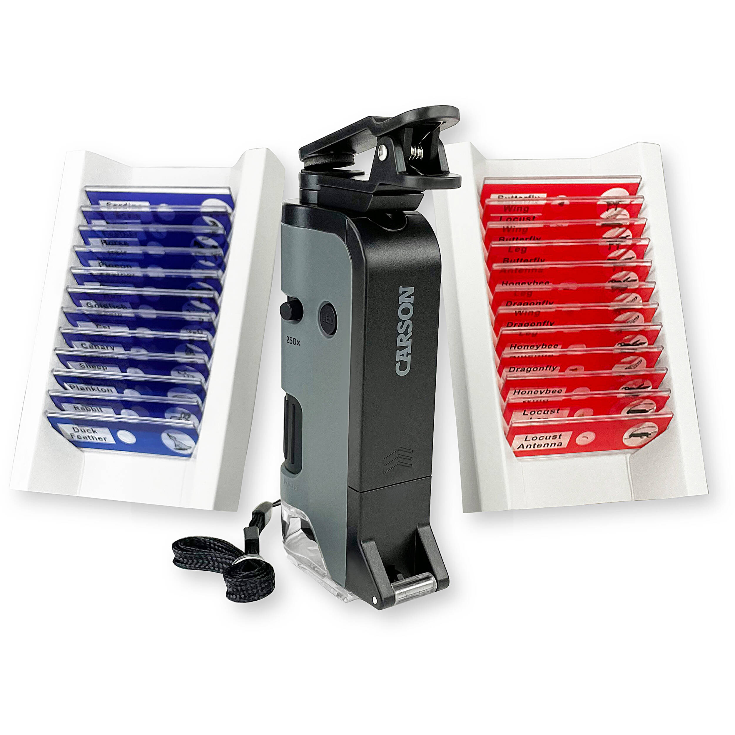 Carson MicroFlip MP-250 100-250x Pocket Microscope