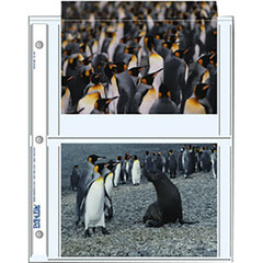Print File 57-4P Archival Storage Page for 4 Prints (5 x 7