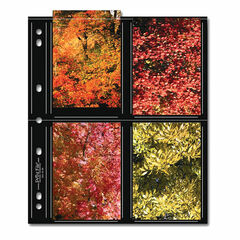Print File Premium Series-S Archival Storage Page for Prints - 3.5x5
