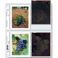 Print File Archival Storage Pages for 4x5