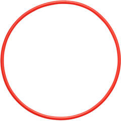 Olympus O-Ring for PT-058 Underwater Housing